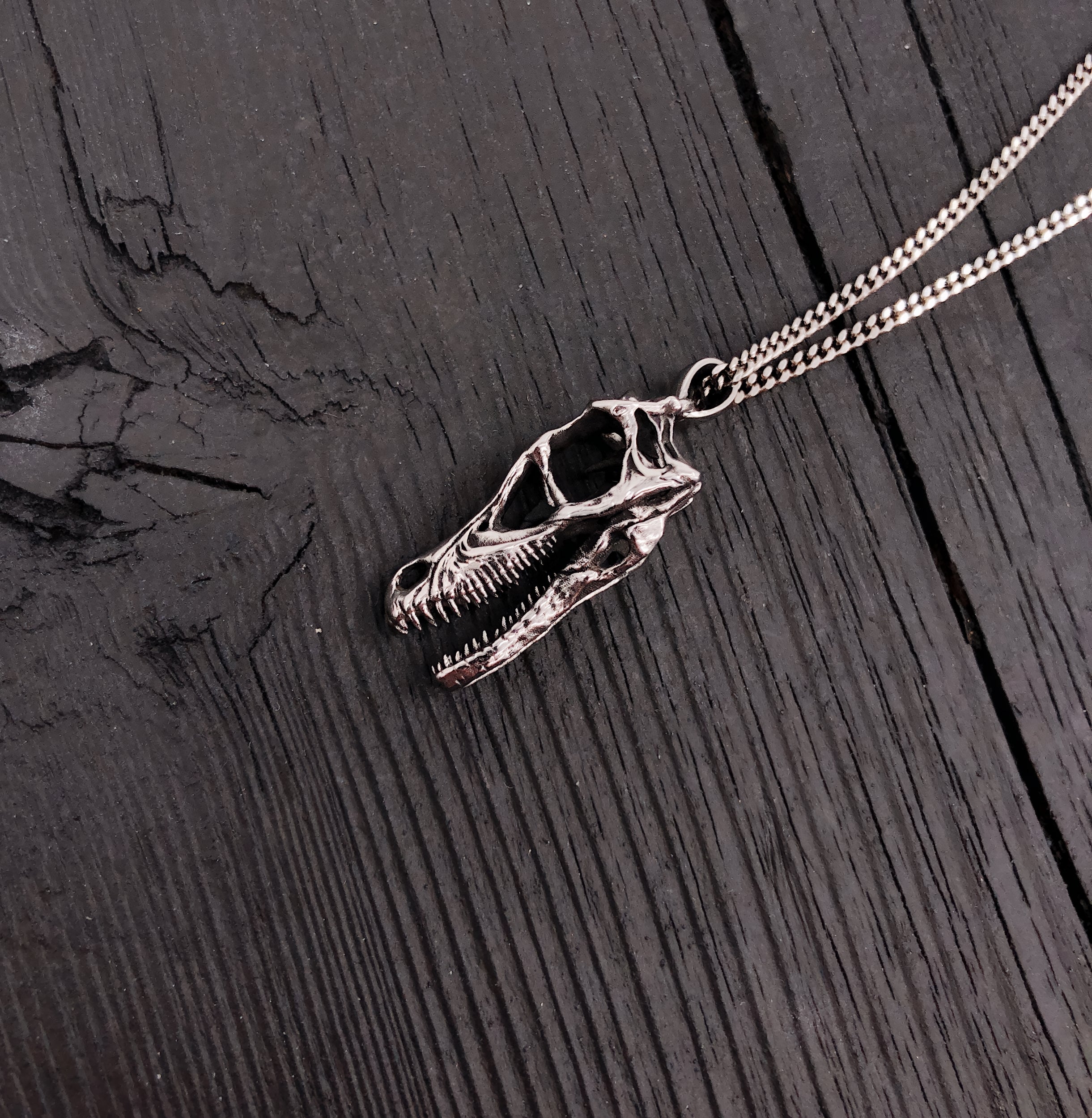 Close-up necklace with detailed skull pendant | Moon Raven