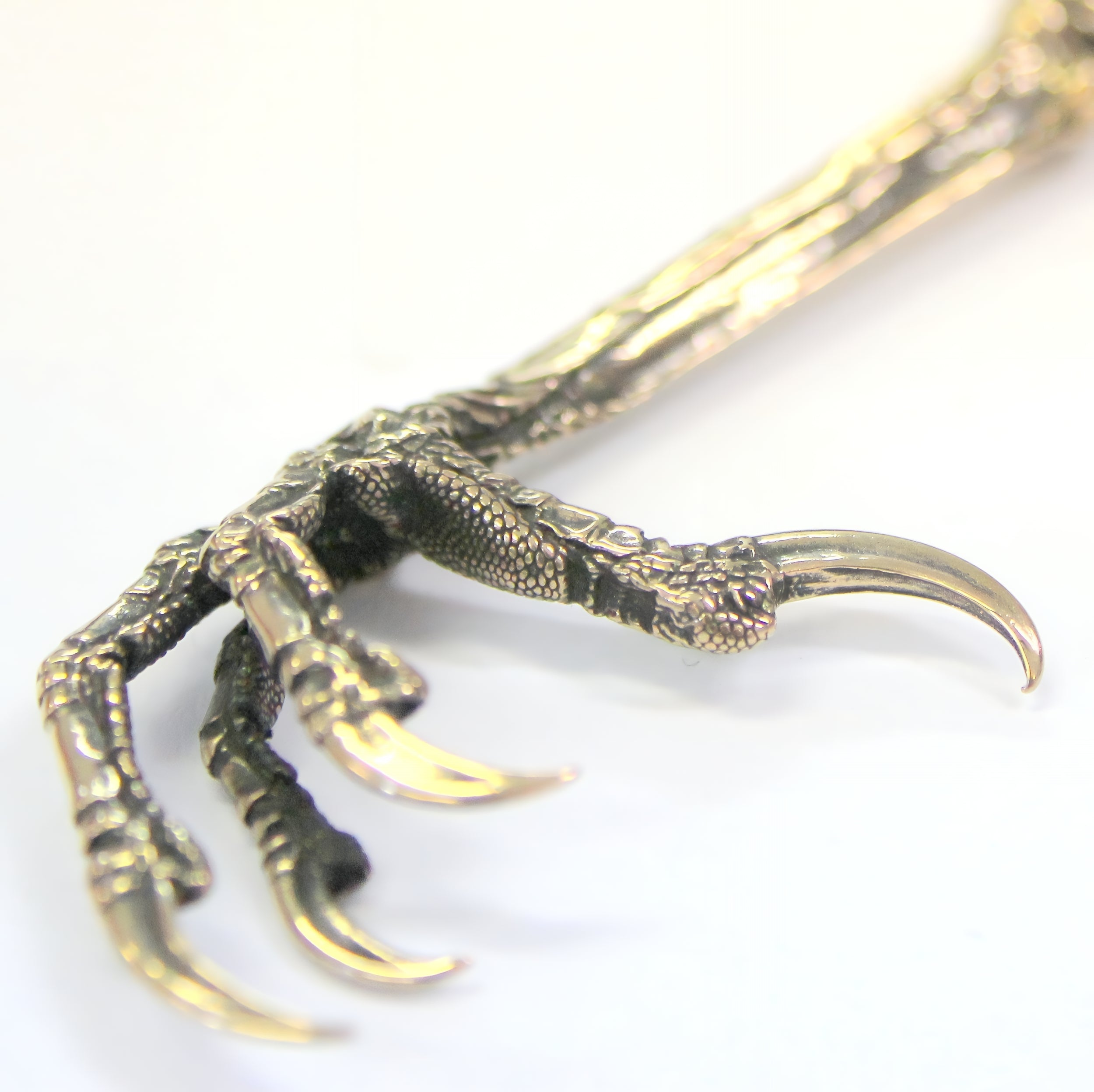 Raven Claw Necklace Crow Claw Necklace Bird Claw Pendant Necklace - Moon Raven Designs