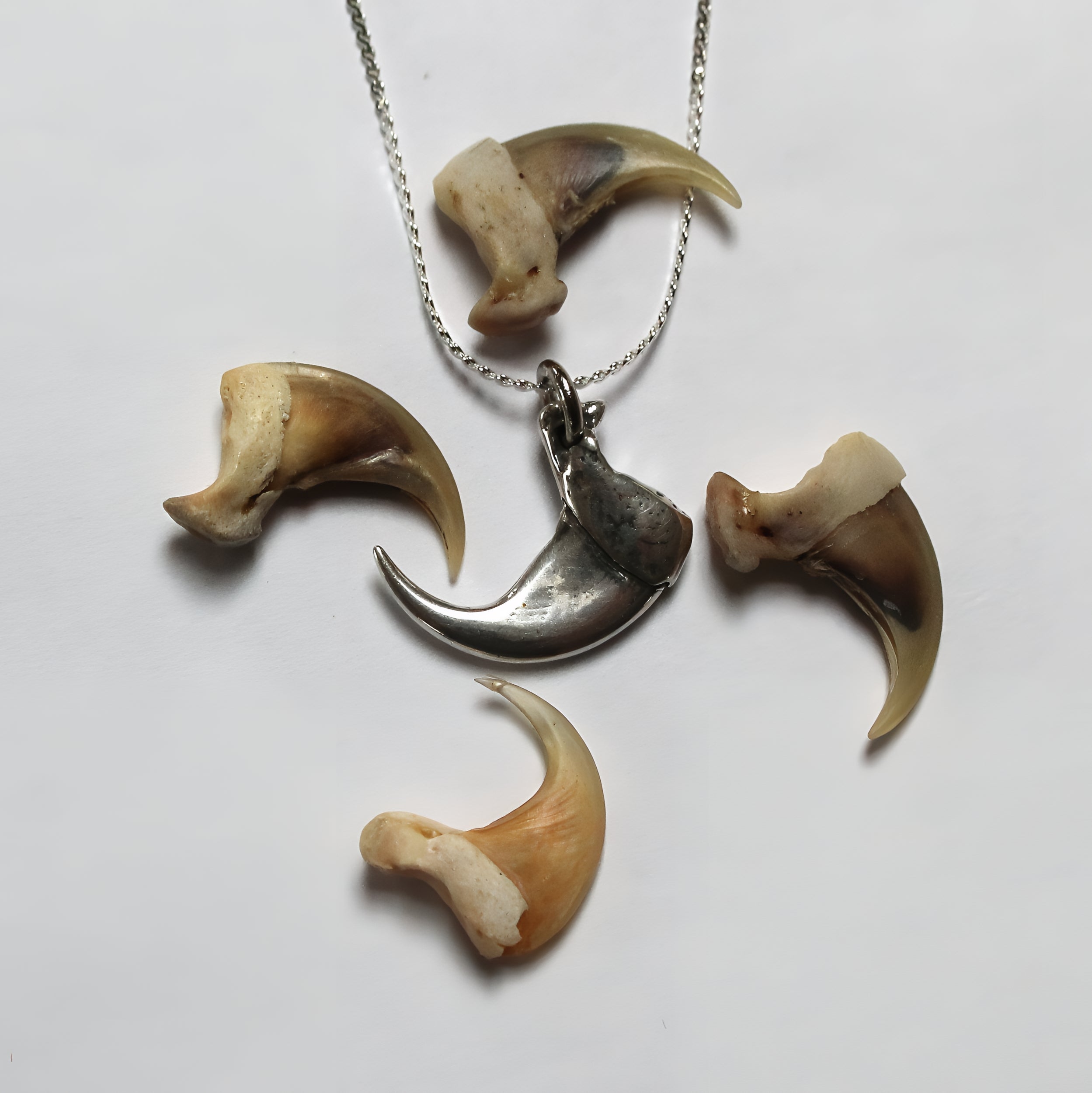 Sterling Silver 3D Bobcat Claw Pendant - Realistic Wild Cat Claw Jewelry - Solid Silver Claw Necklace - Nature Inspired Statement Piece
