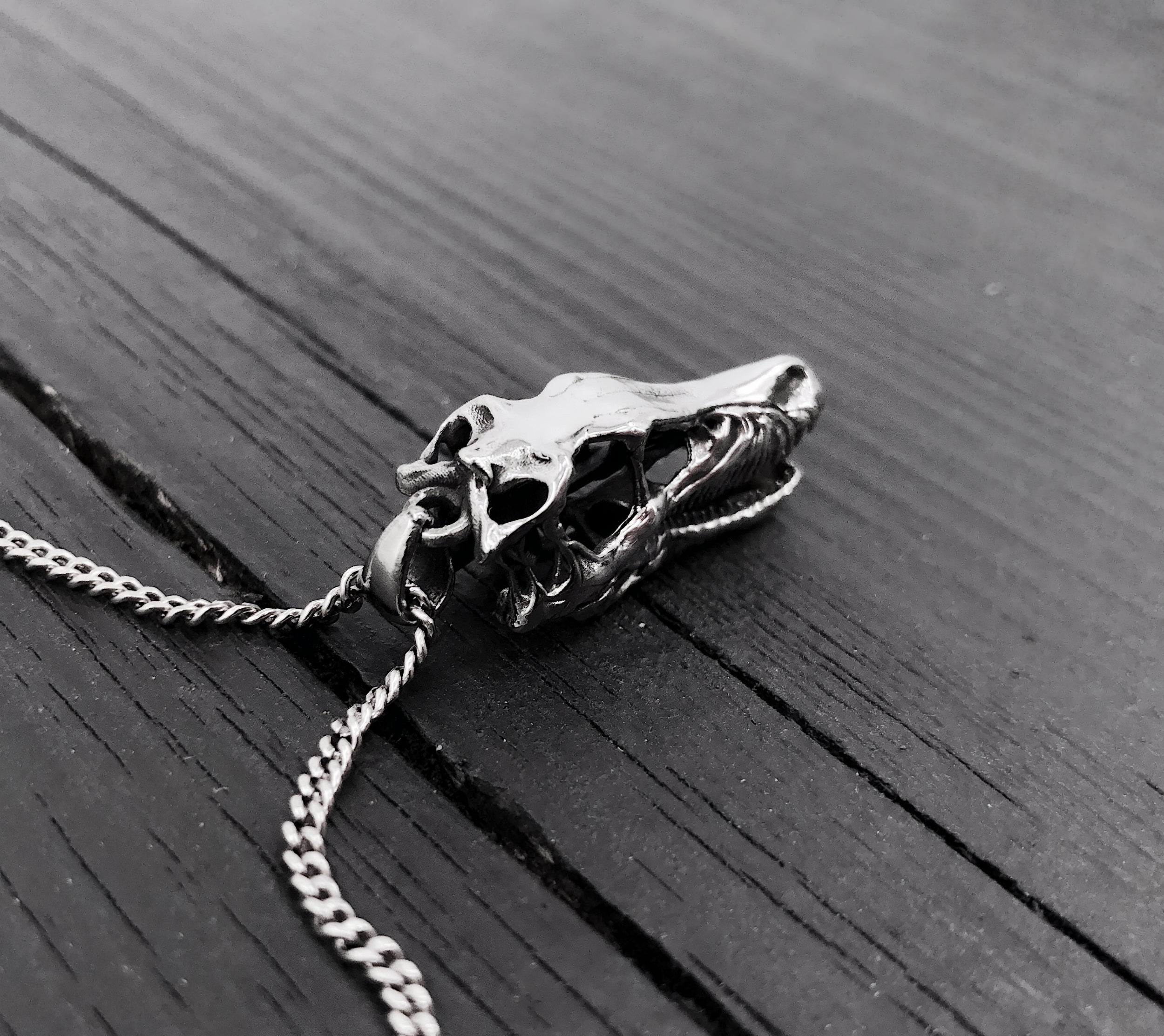 Skull necklace on rustic wooden table, intricate design | Moon Raven