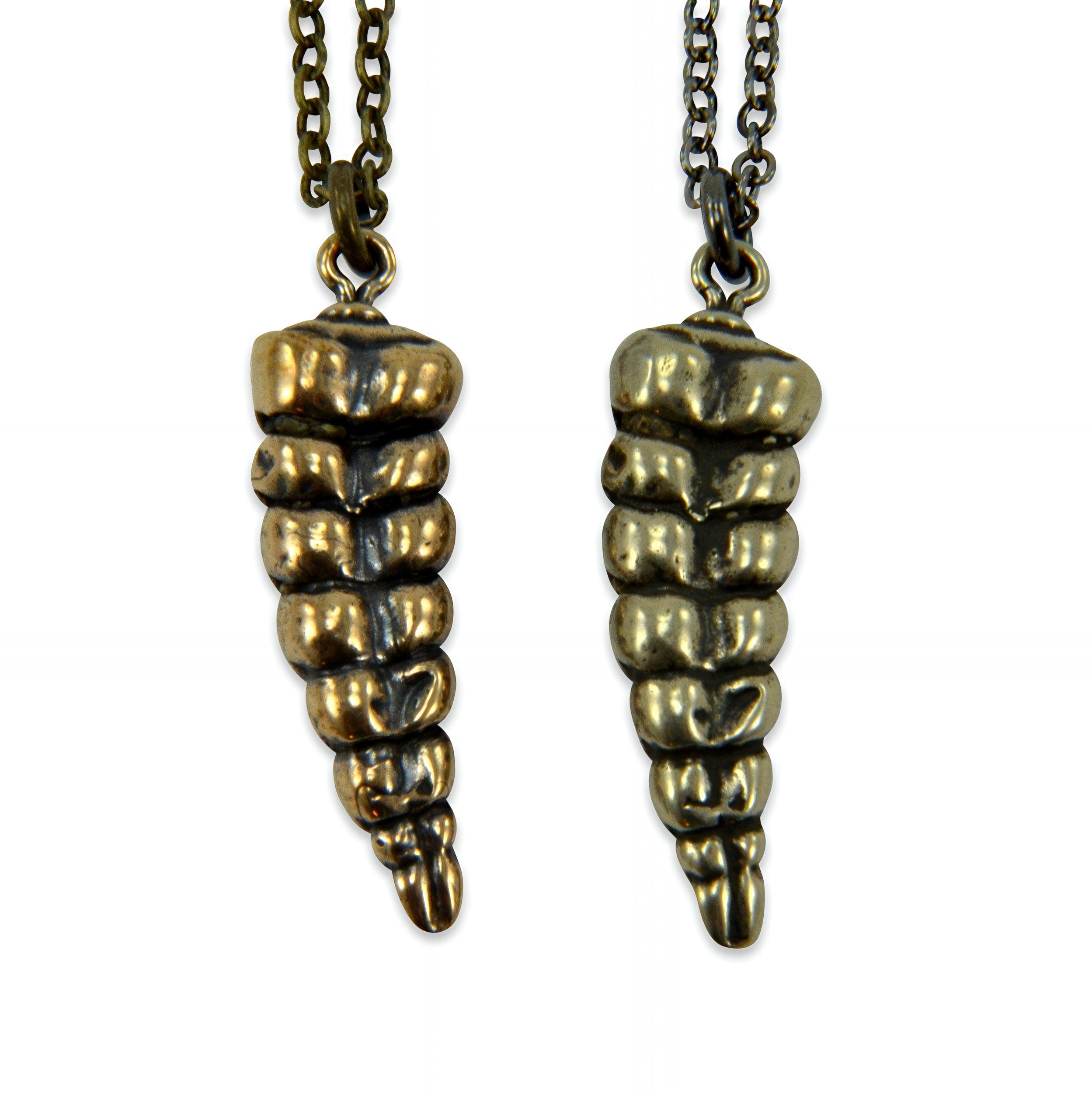 Rattlesnake Tail Necklace - Moon Raven Designs