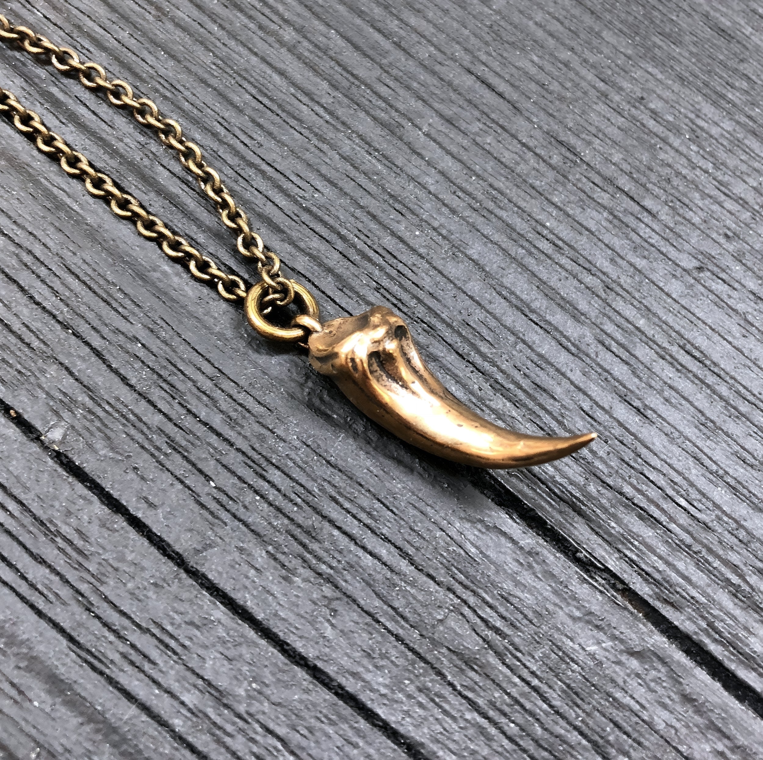 Velociraptor Claw Necklace in Solid Bronze Deinonychus Claw Dinosaur Claw