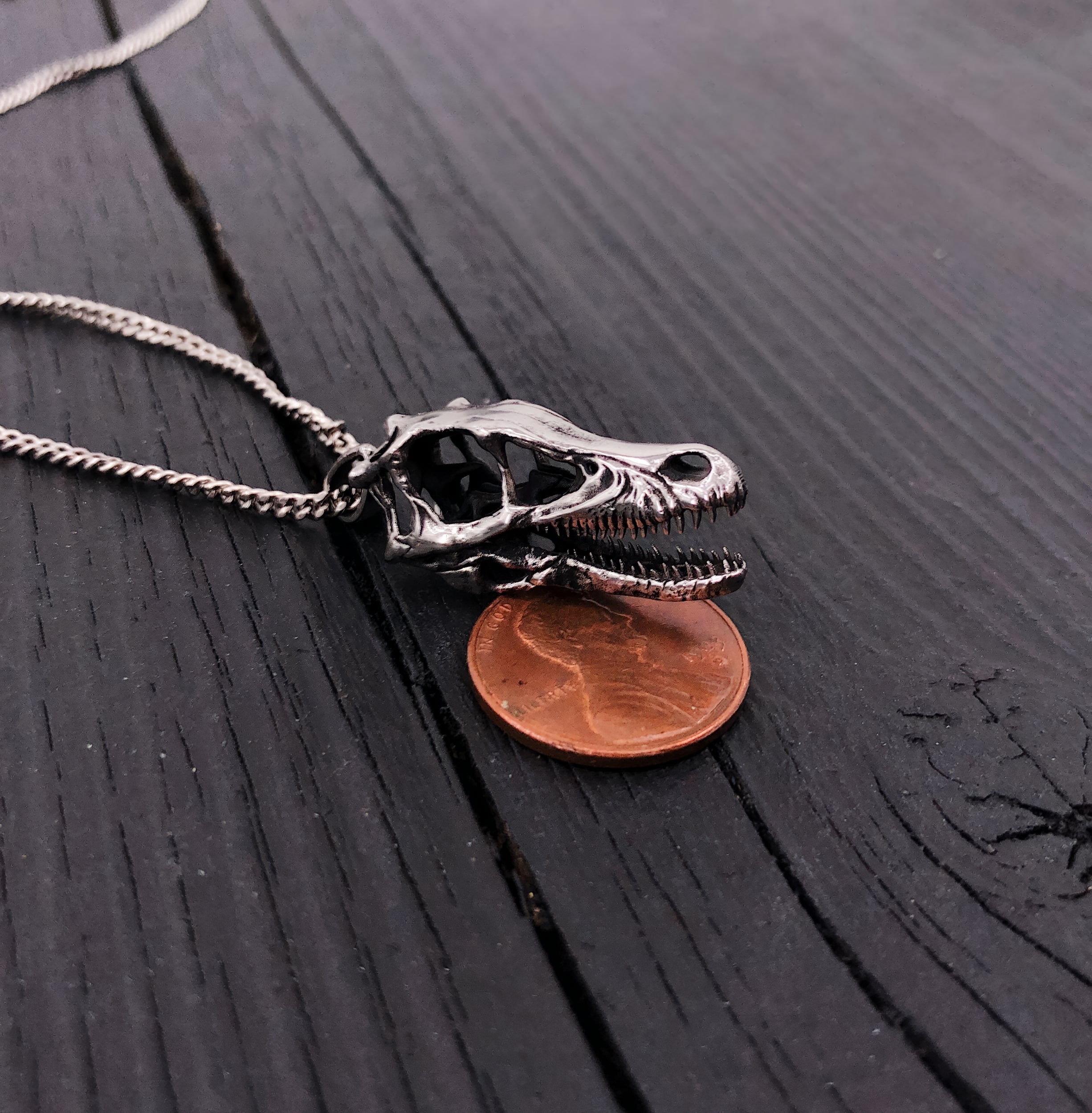 Silver necklace with decorative coin pendant on chain | Moon Raven