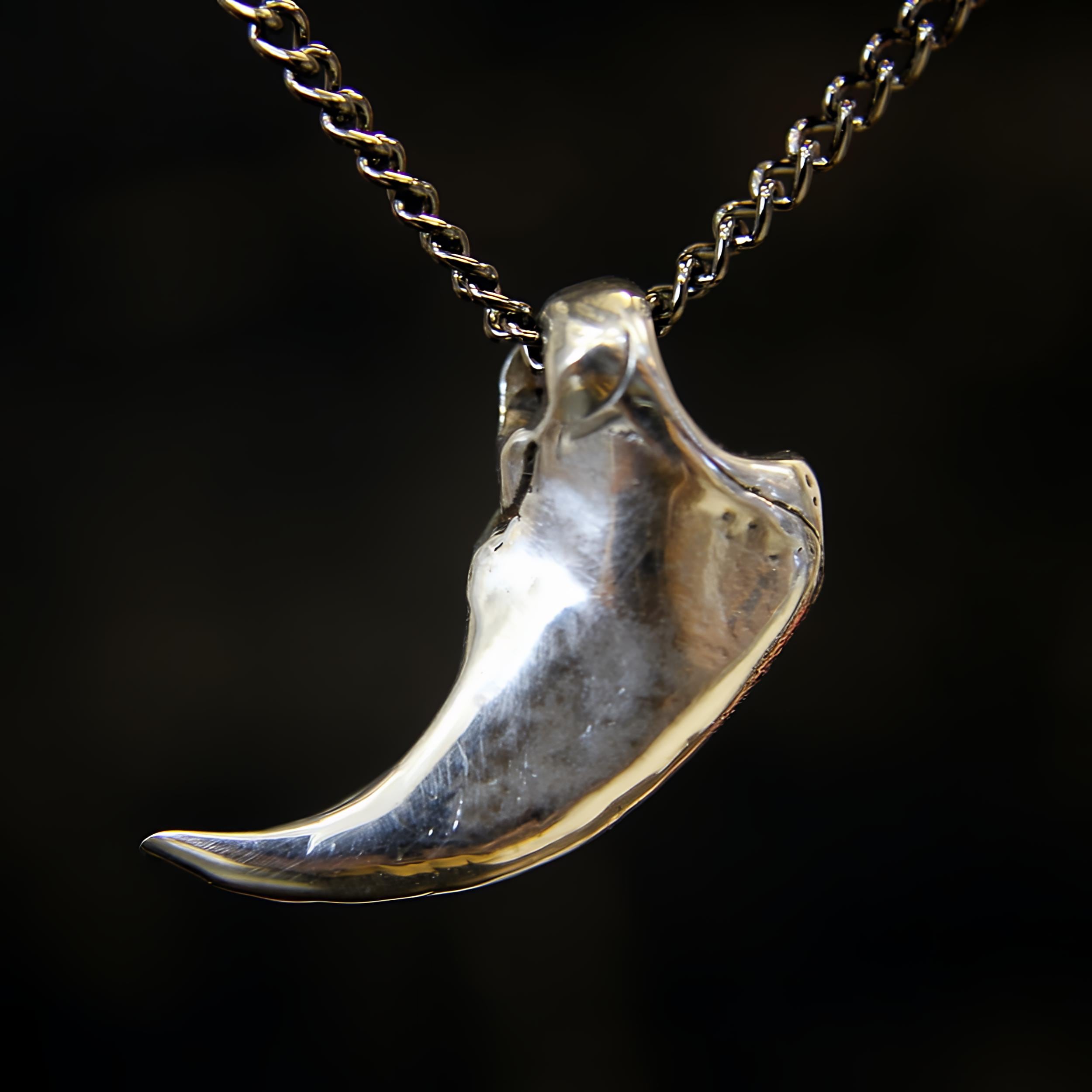 Little Bear Claw Necklace - Moon Raven Designs