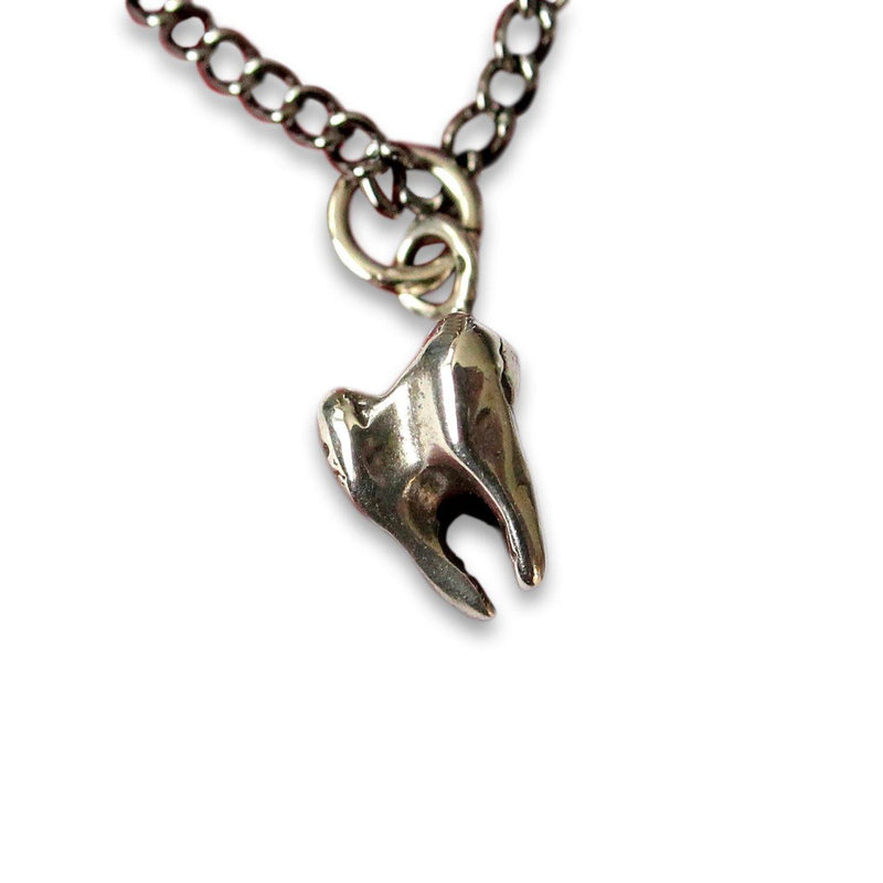 Three Root Human Molar Tooth Necklace - Moon Raven Designs